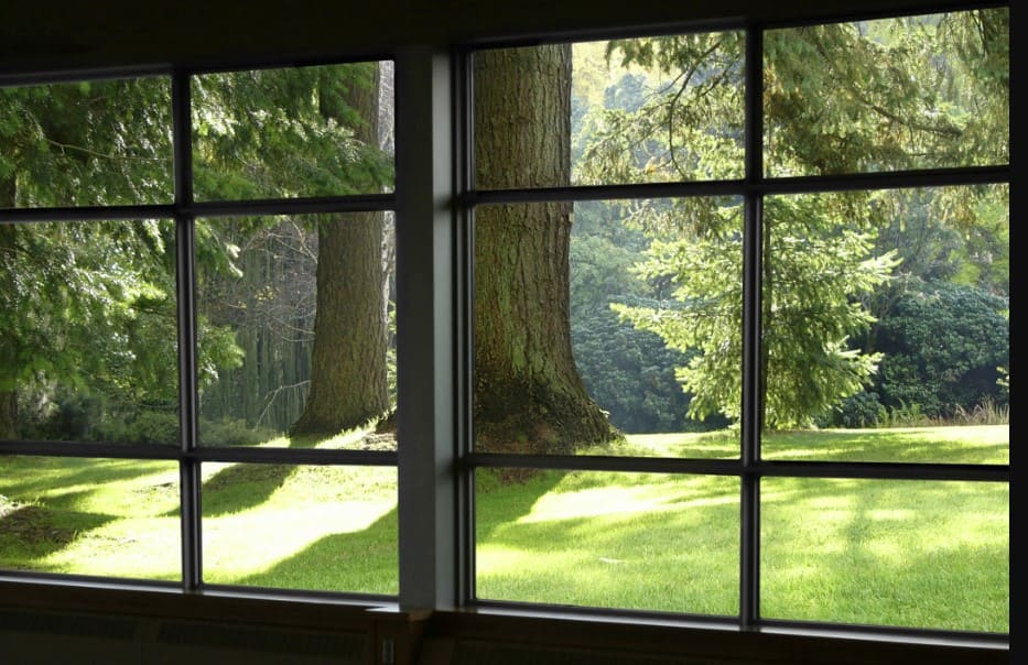 背景是树的窗户